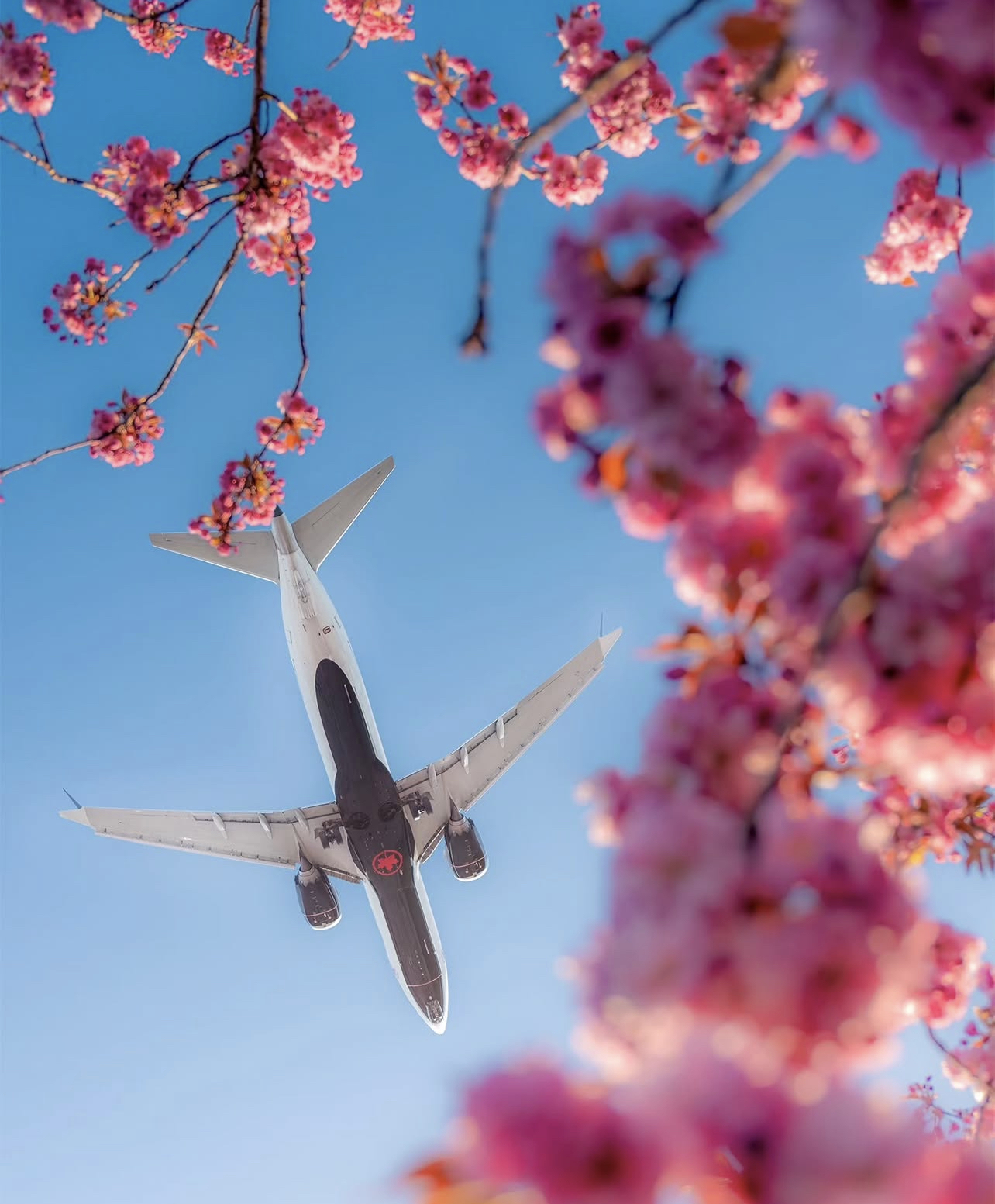 退役飞机如何处理-美国退役飞机公司